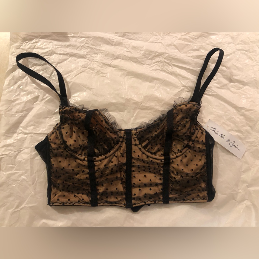 brand New lace thistles and spire corset bra